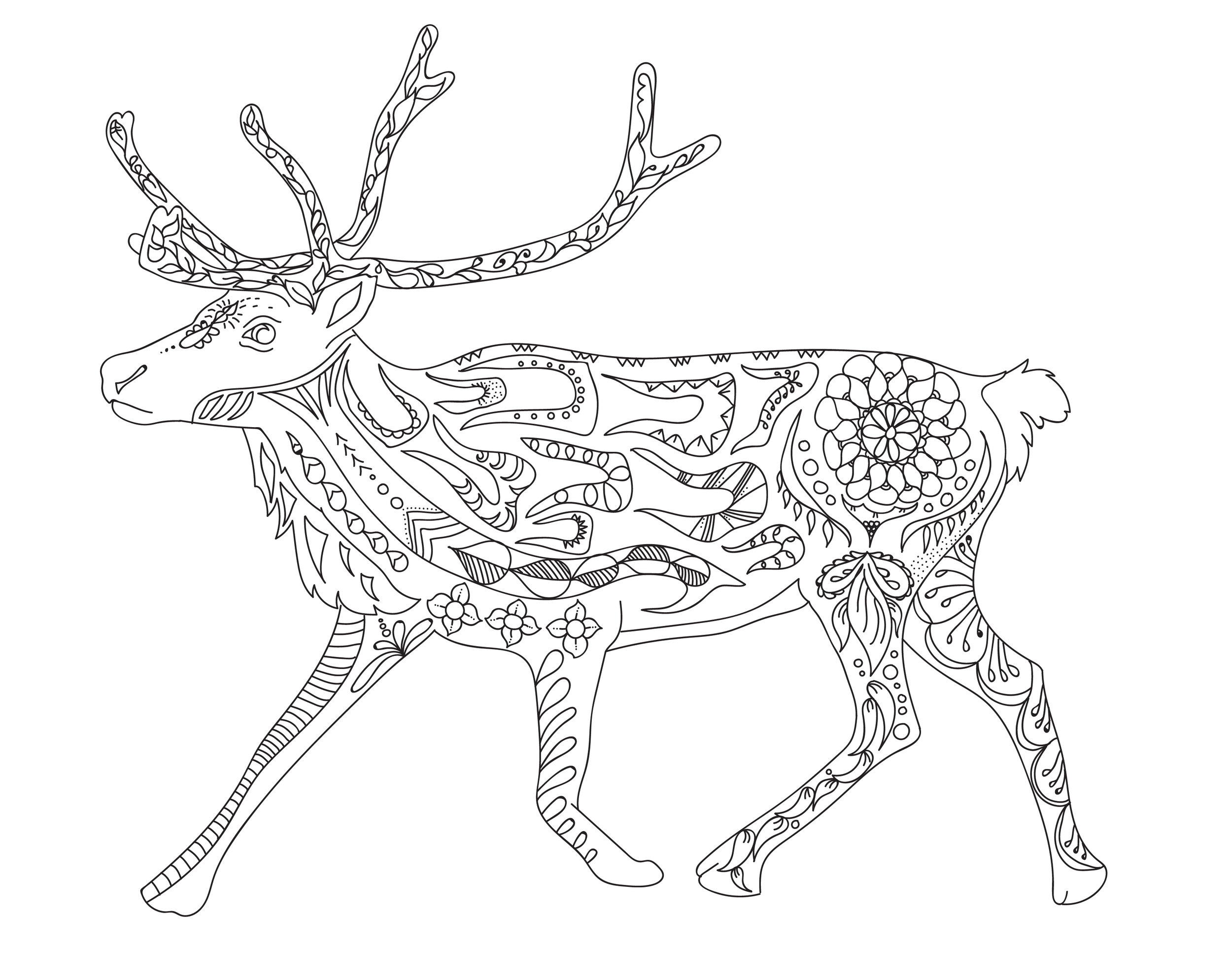 caribou-01.jpg