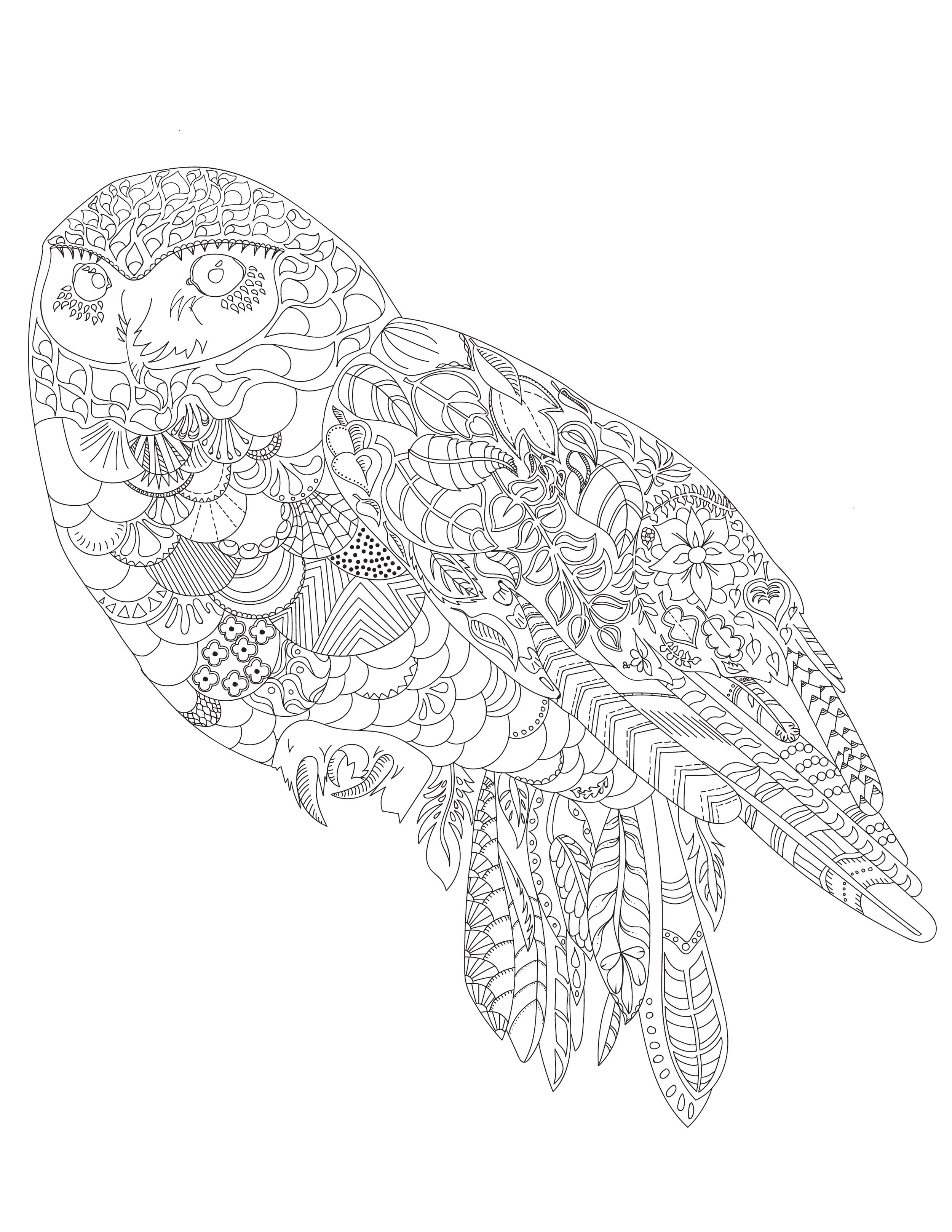 Colouring Sheet-Owl-04.jpg