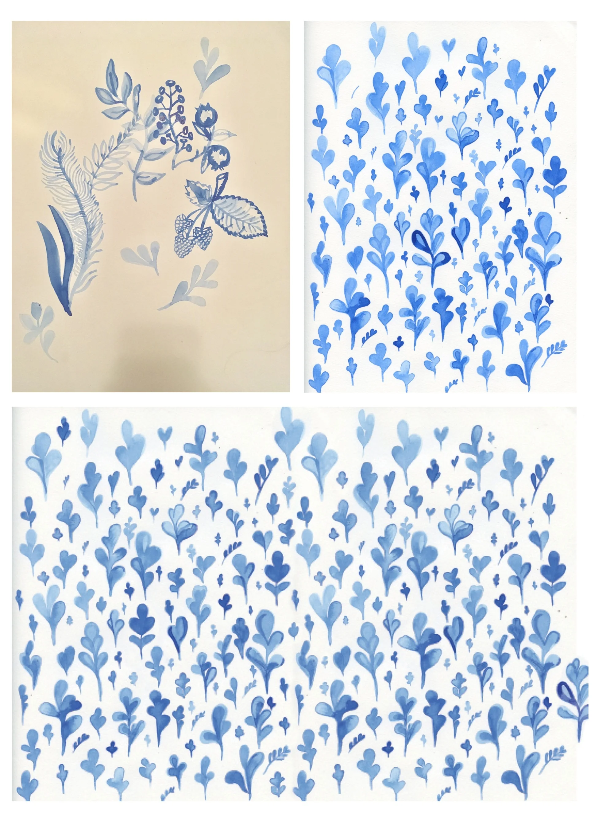 luna%2Bpackaging%2B%2Bfor%2Bweb%2B8.jpg