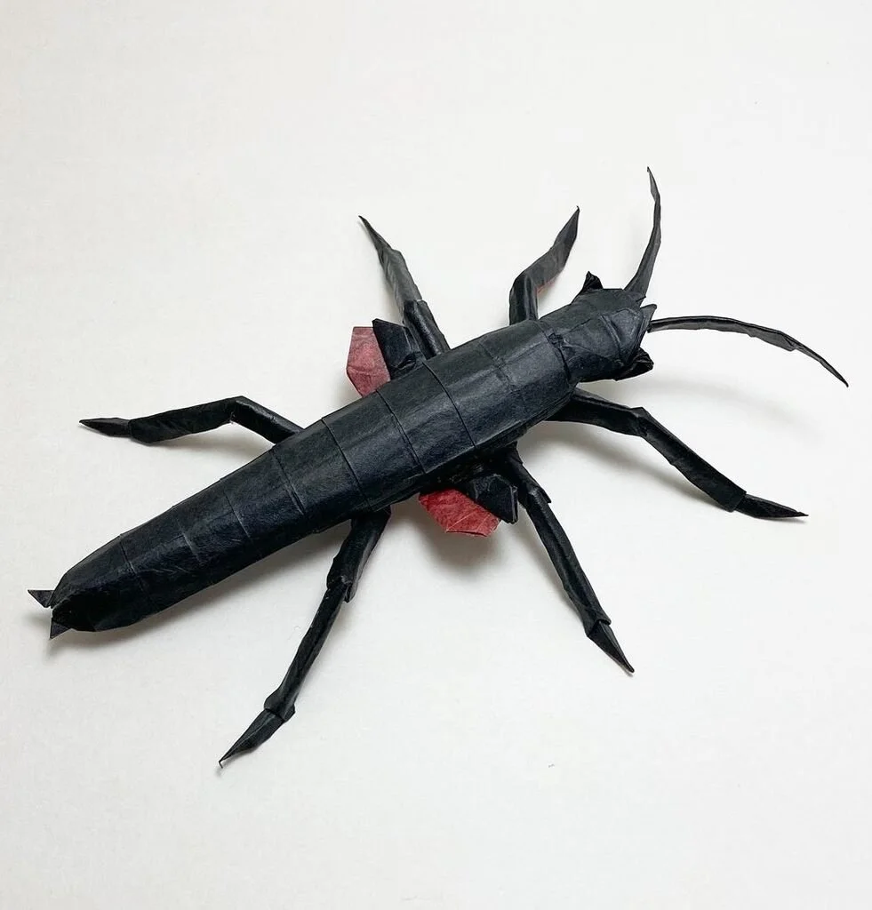 Matt LaBoone - "Peruphasma Schultei (Black Beauty Stick Insect,)" 2024