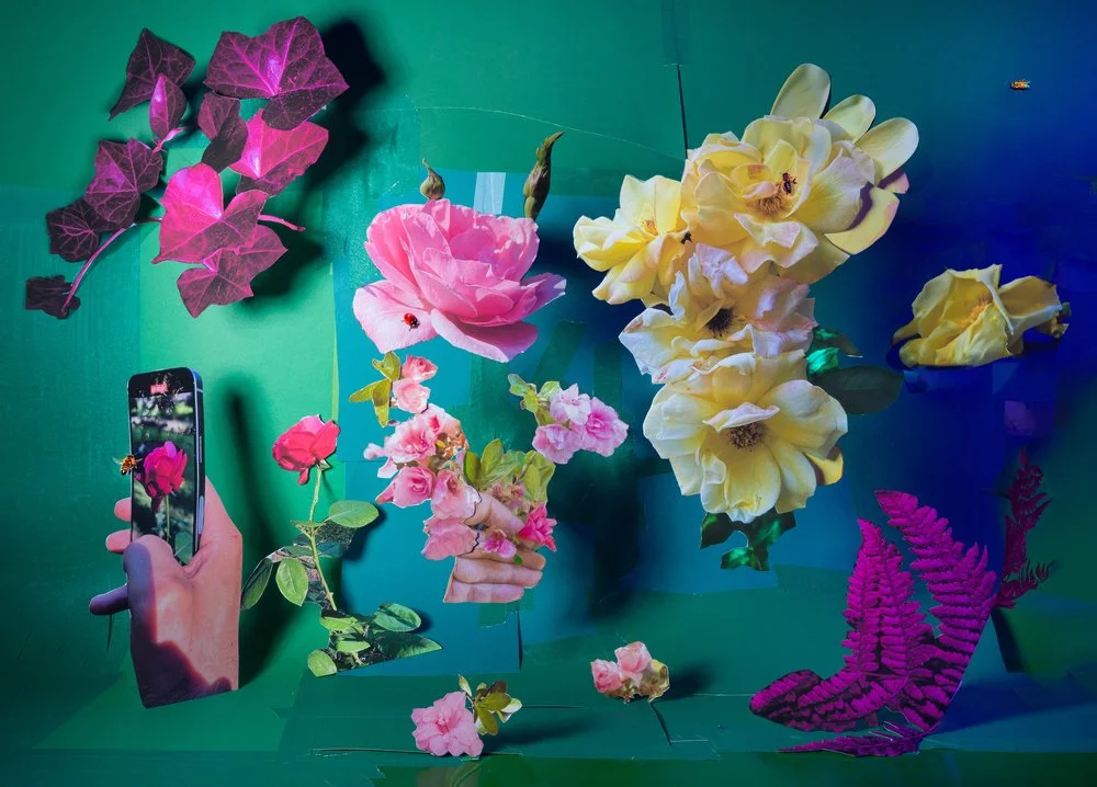 treat gallery_Kelda Van Patten_My-Secret-Garden_15.8-x22-_archival-pigment-print_2023.jpg