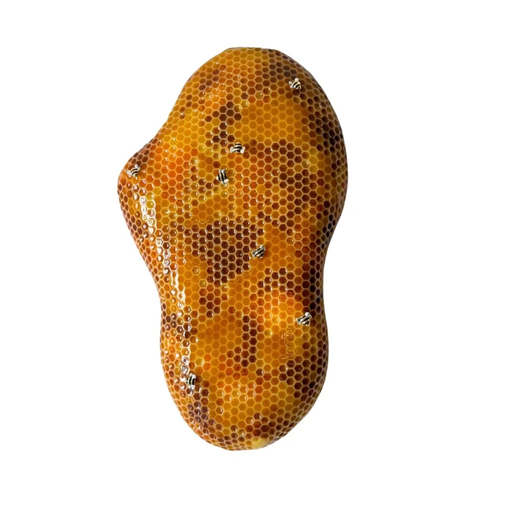 Campbell Chris Hive 007 8x12 2026 mixed media $525.jpg
