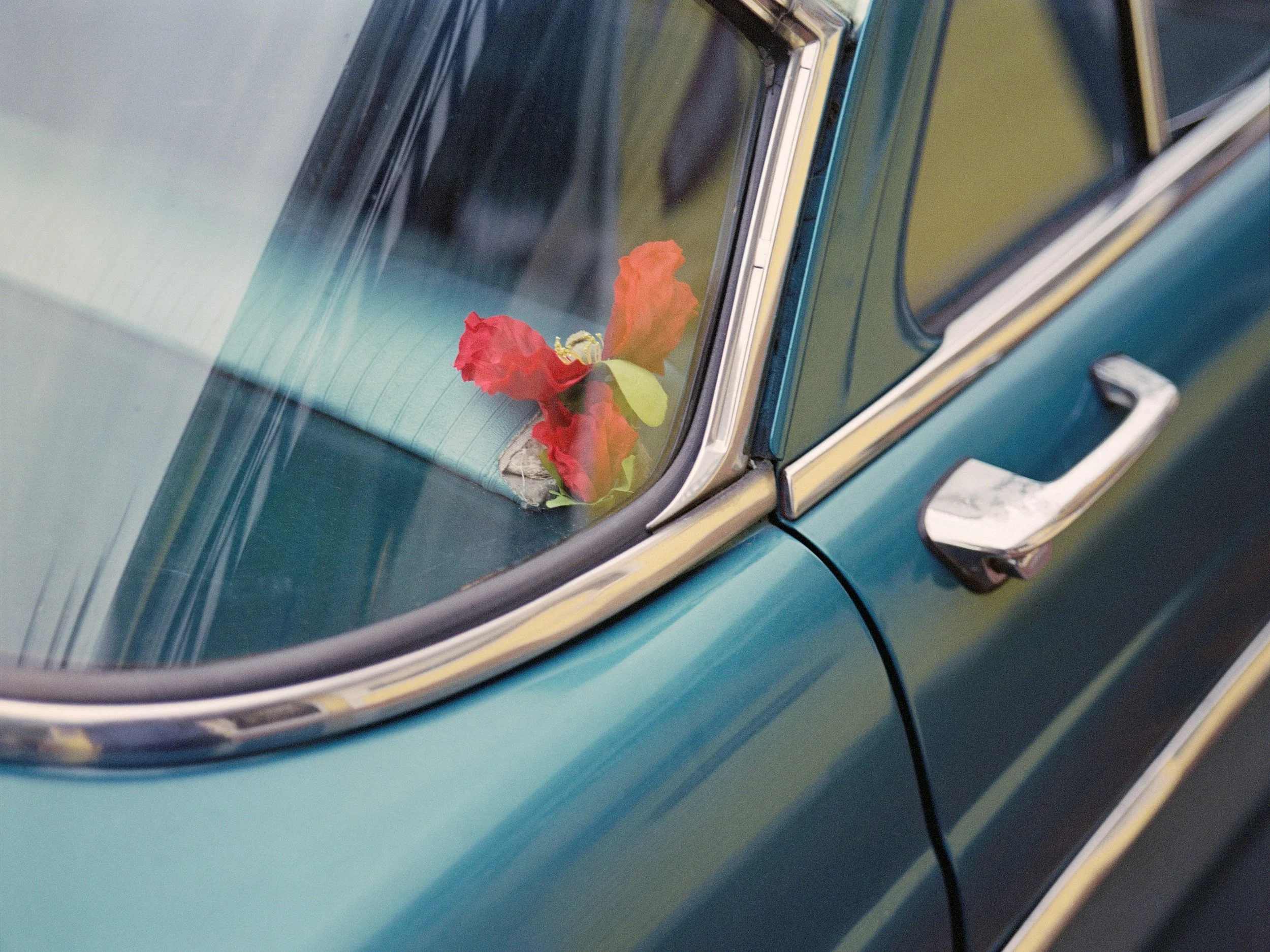 treat gallery_A2_Matt Mele_May Flowers_2024_16x24 Inches_Edition of 10_$700.jpg