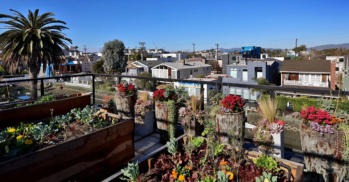 Rooftop-garden-modern-los-angeles-SiliconBay.JPG