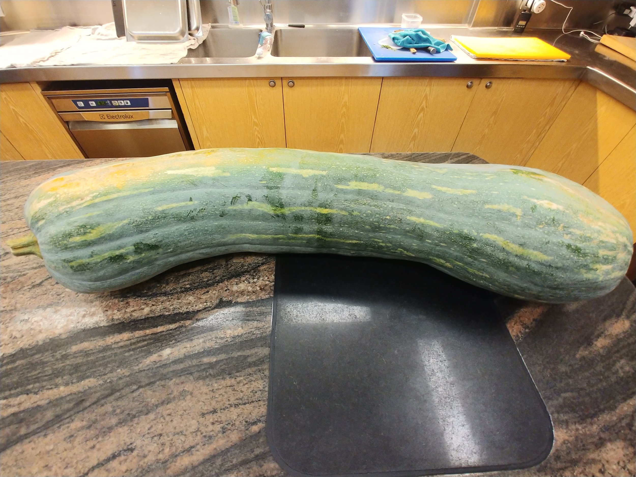 20180807_121745.jpg