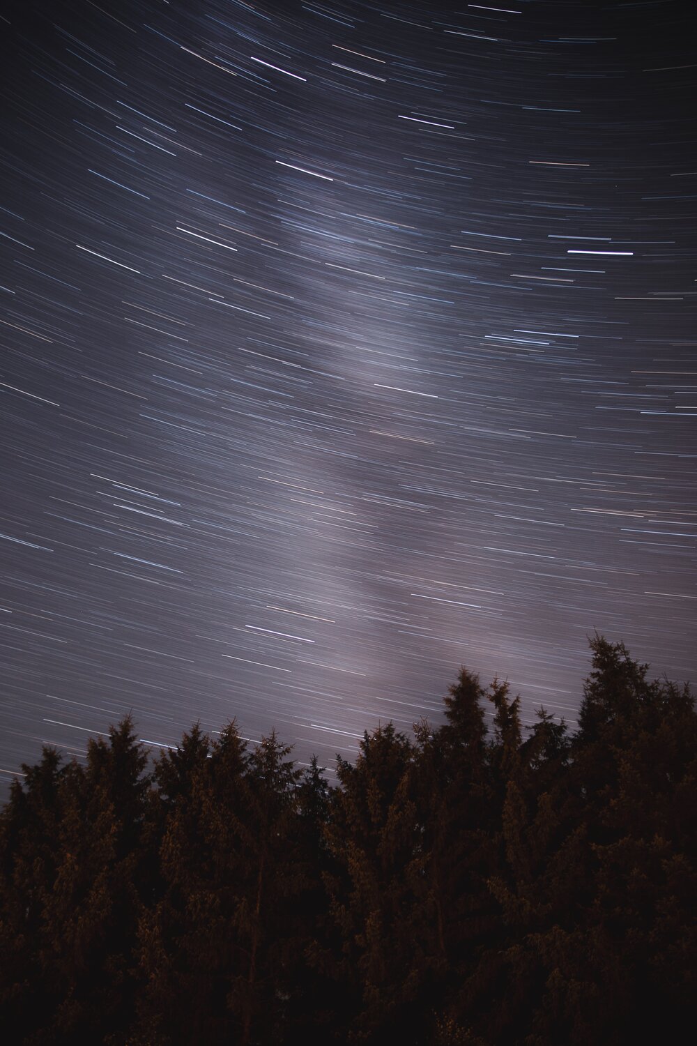 Star Trails .JPG