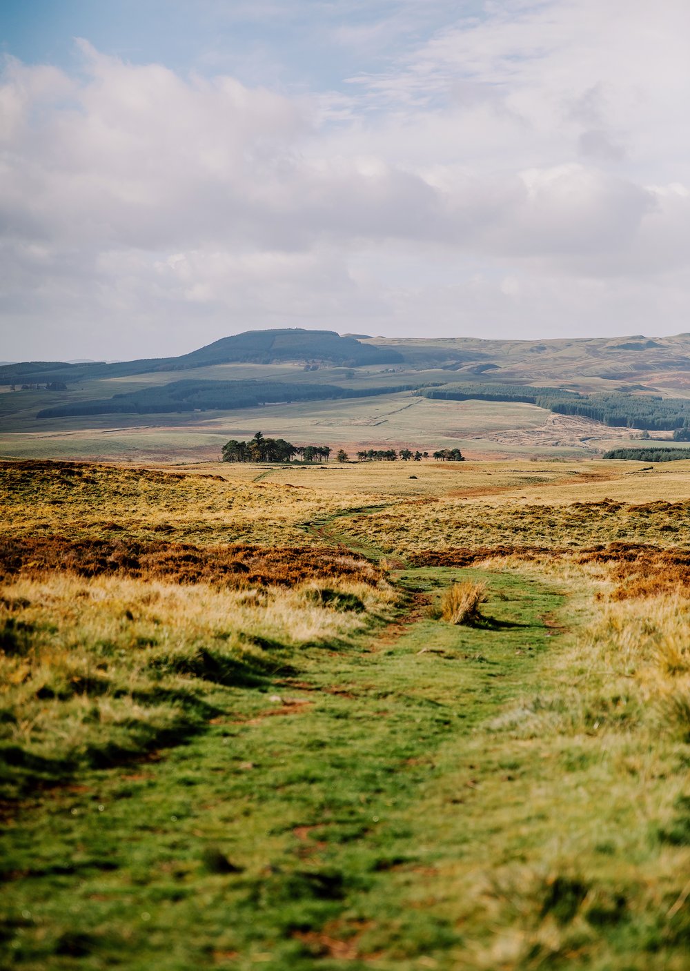 East Lomond -4047.jpg