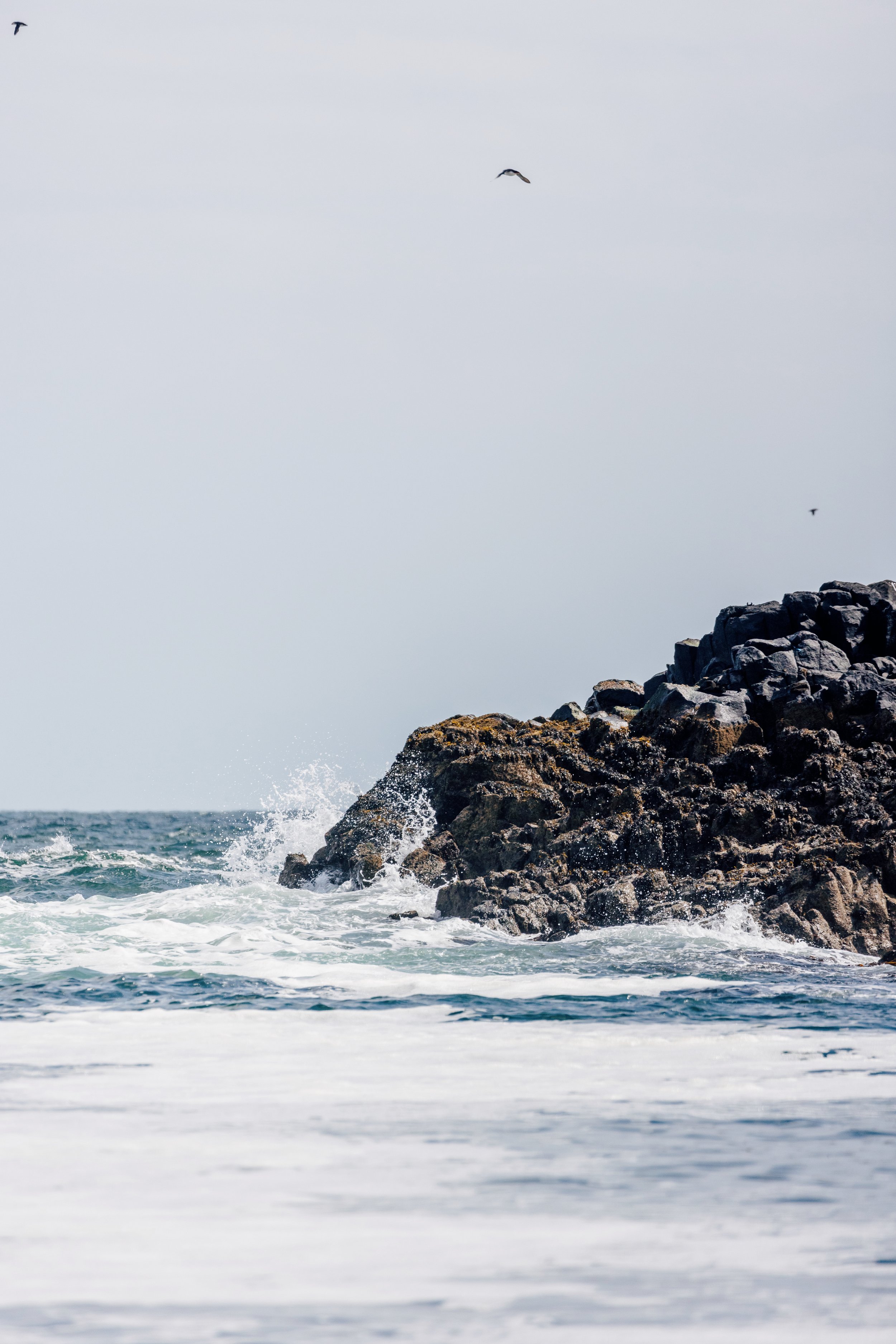 Big Peat Welcomes Unpredictable Islay Weather With Beach BBQ