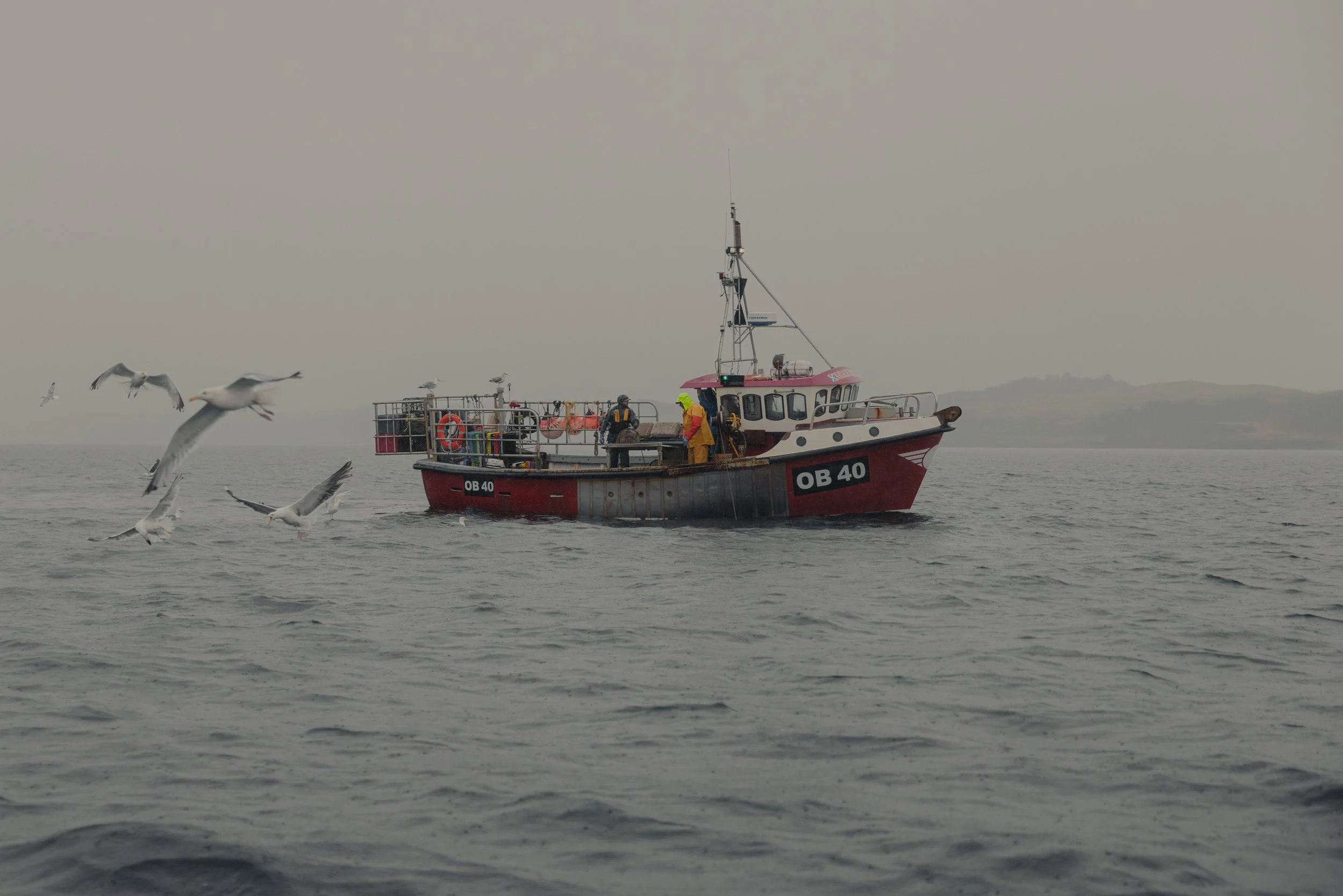 Small creel boat in the waters off the west coast of scotland