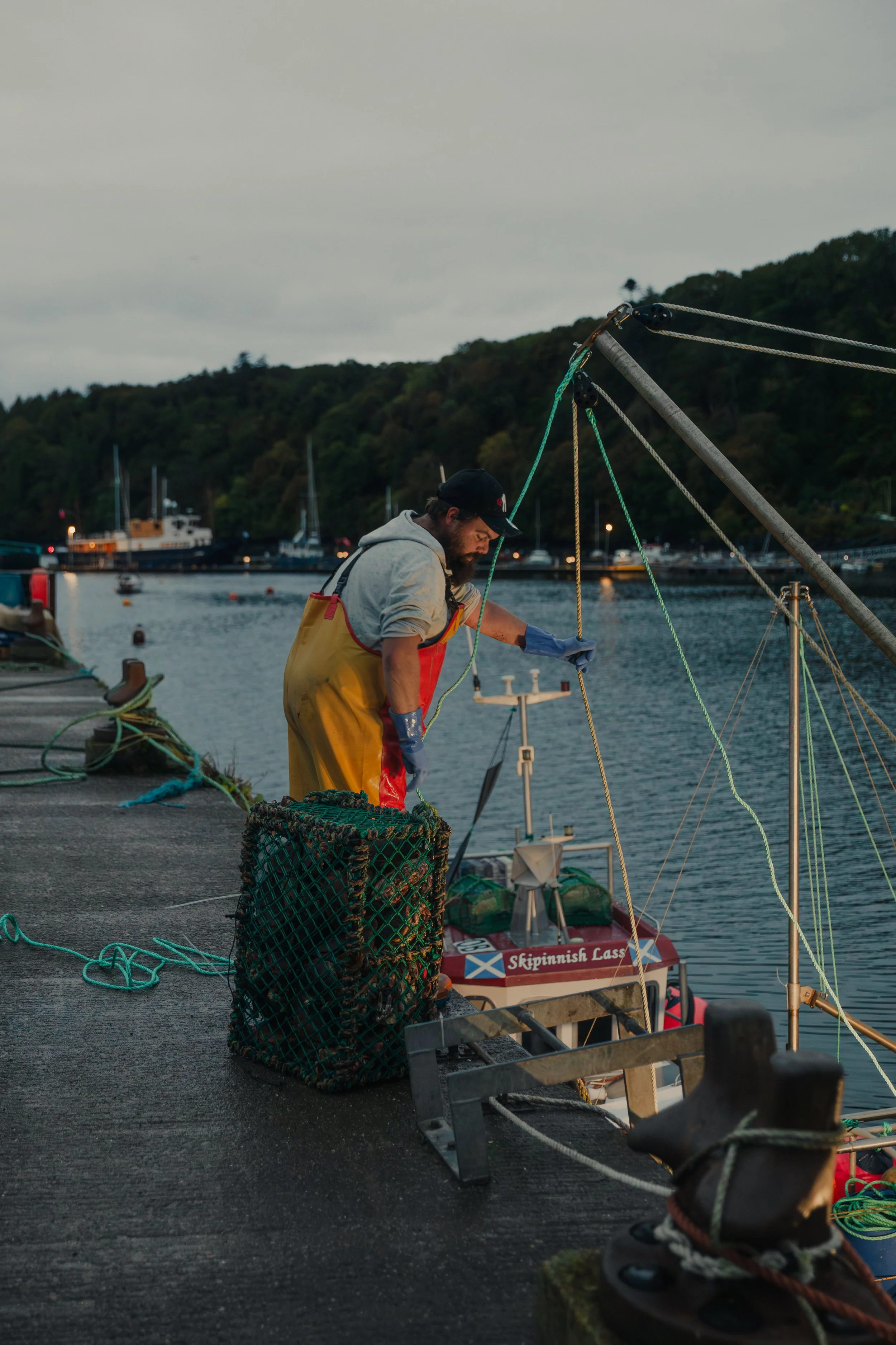 Hebridean fisherman handing his catch at dawn on Tobermory Pier