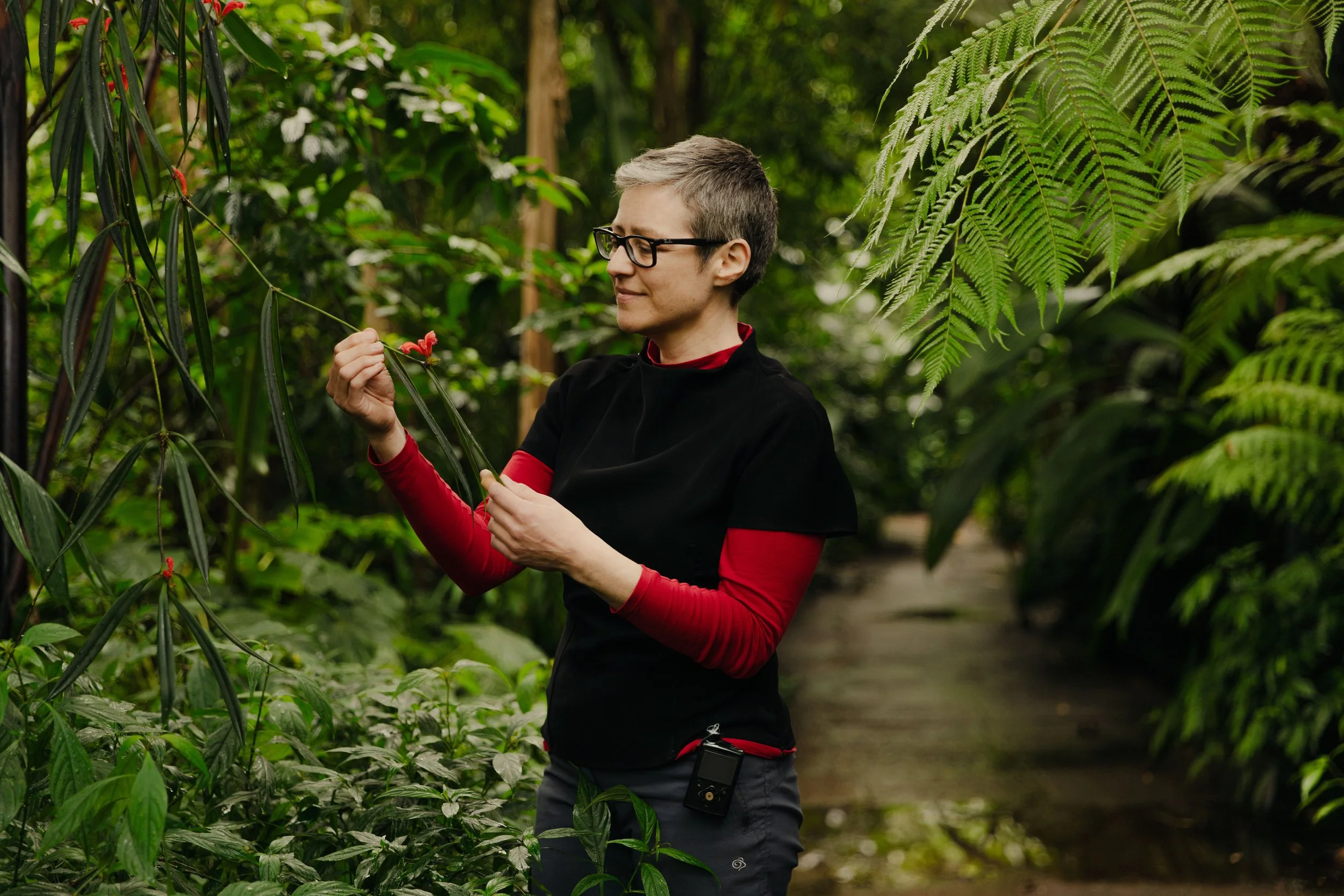 Scientist in a glass house looking at a red flower in edinburgh scotland