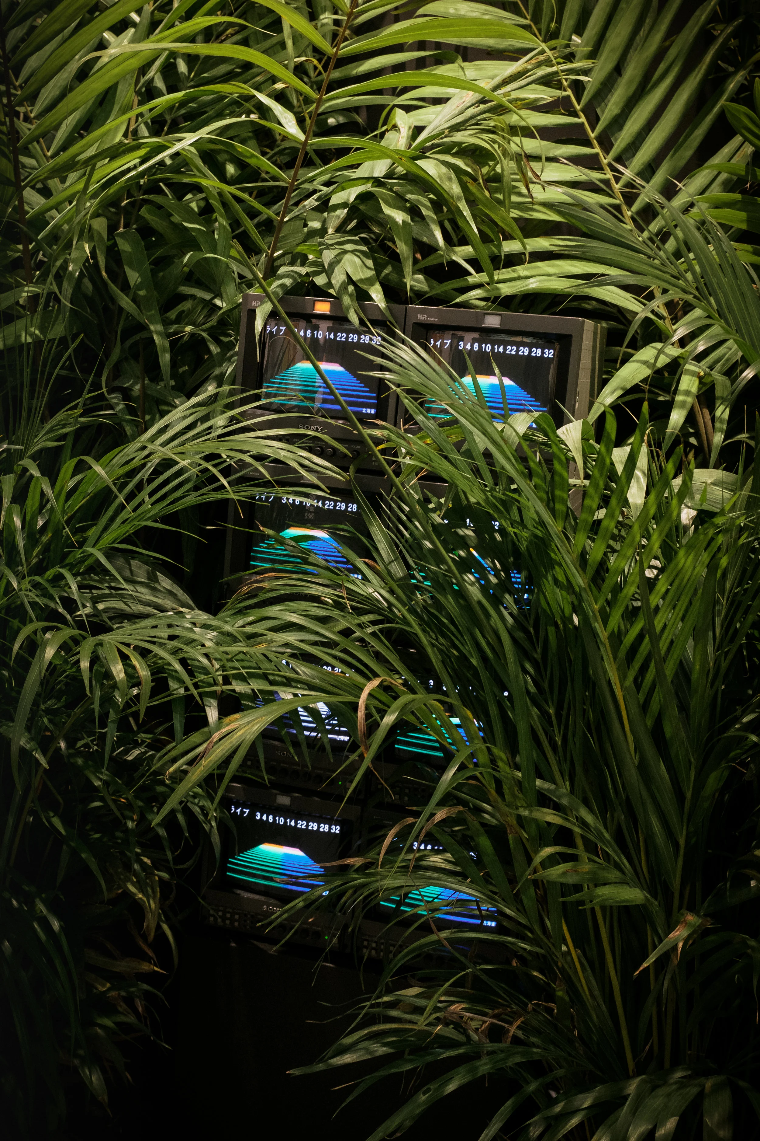 DSCF2518-2.jpg