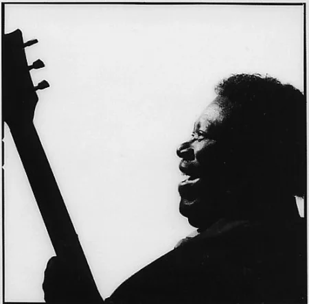 bb king_web.jpg