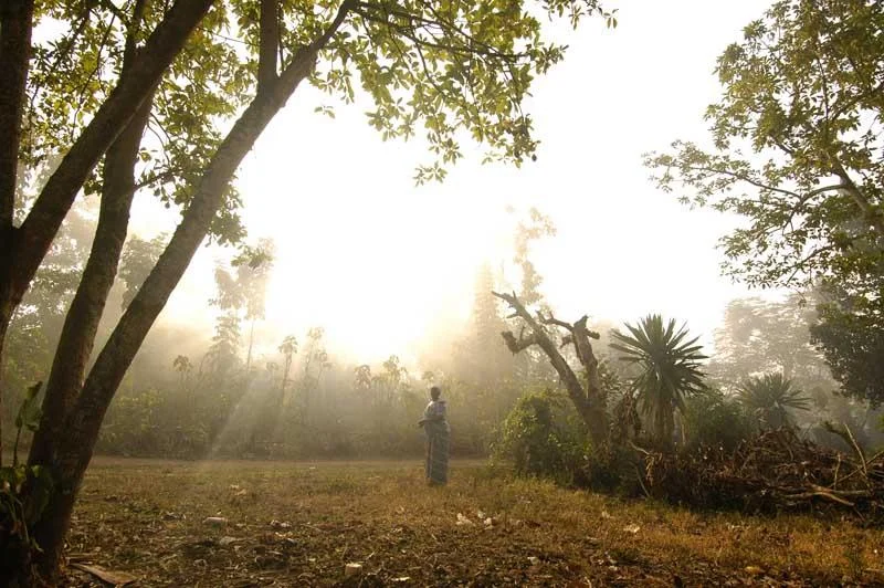 129200791508AM_D 1146.jpg