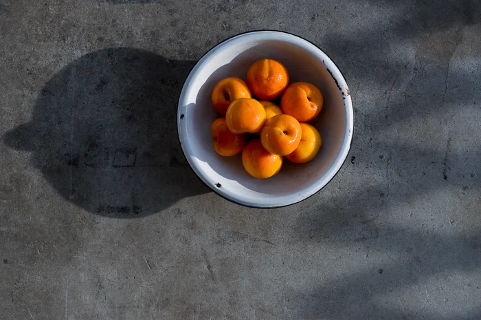 CHF_8843_stilllife.jpg