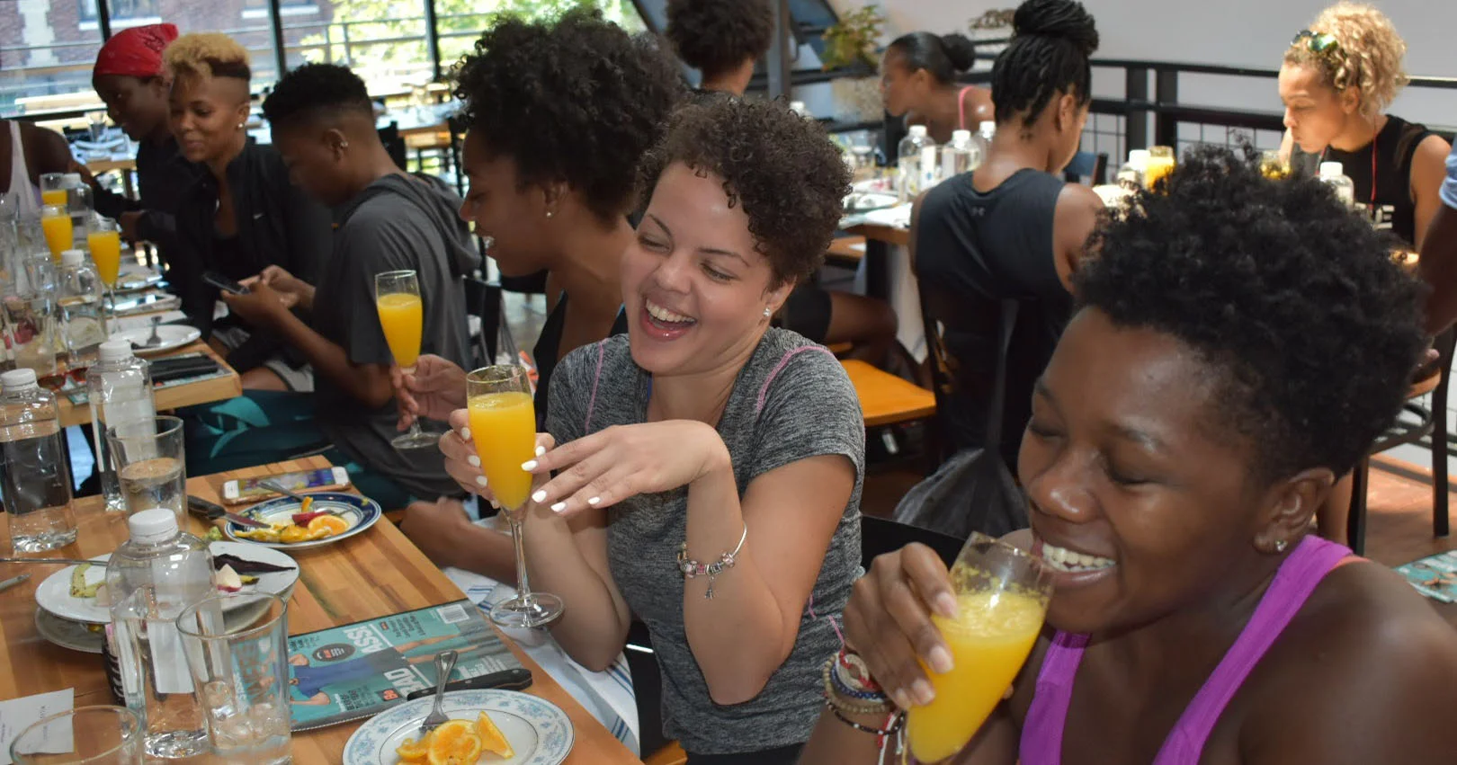 MM DC mimosa.jpg
