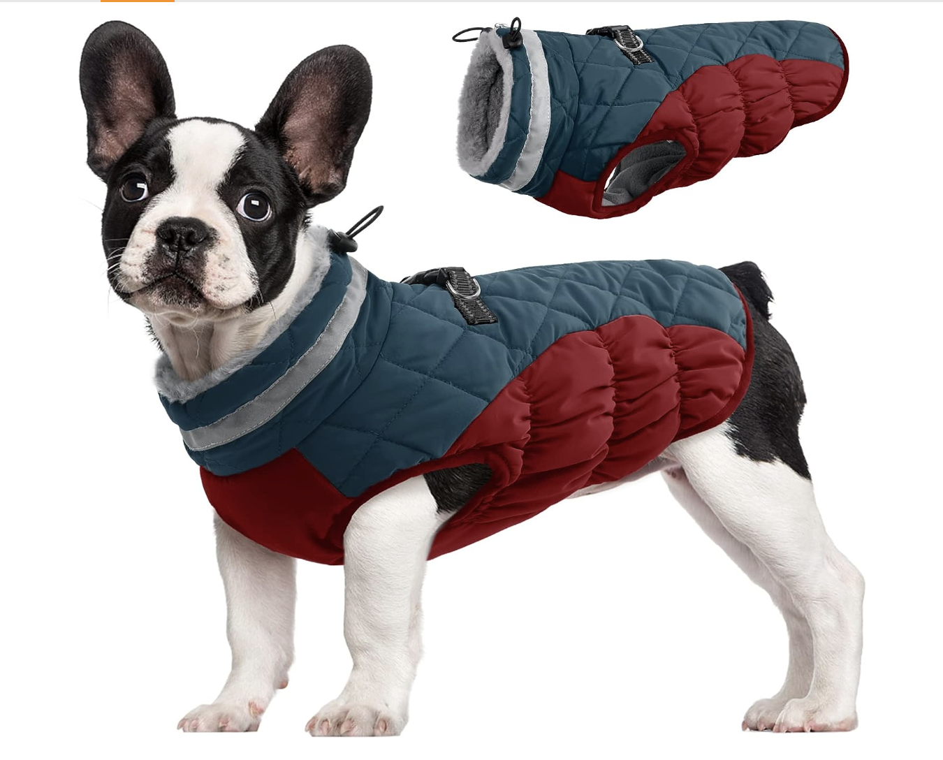 FUAMEY Padded Dog Vest with Harness