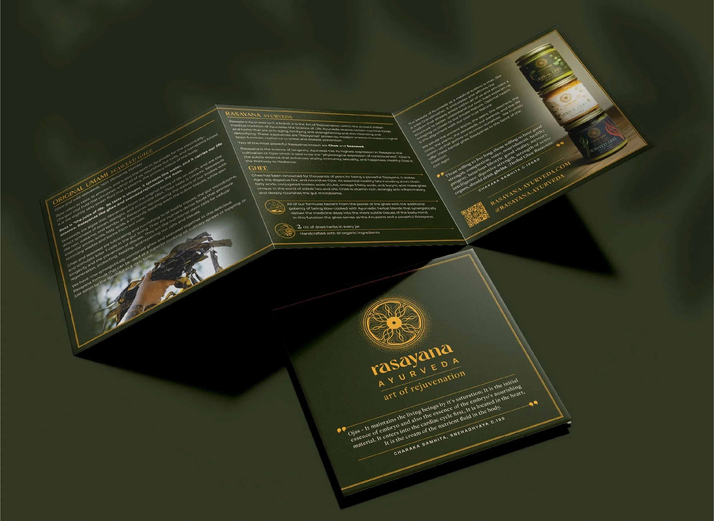 rasayana-broshure-design.jpg