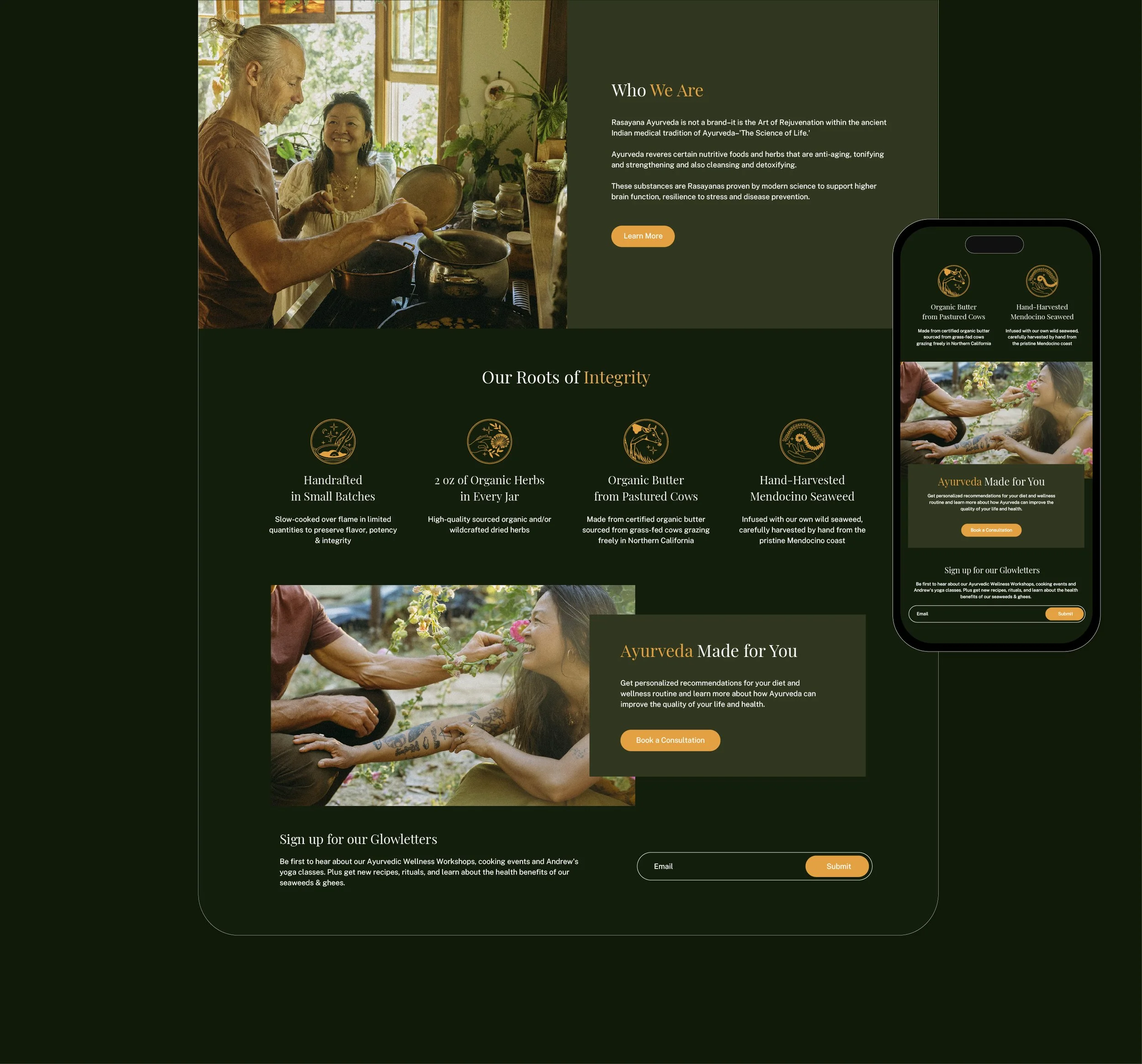 rasayana-ayurveda-website-design.jpg