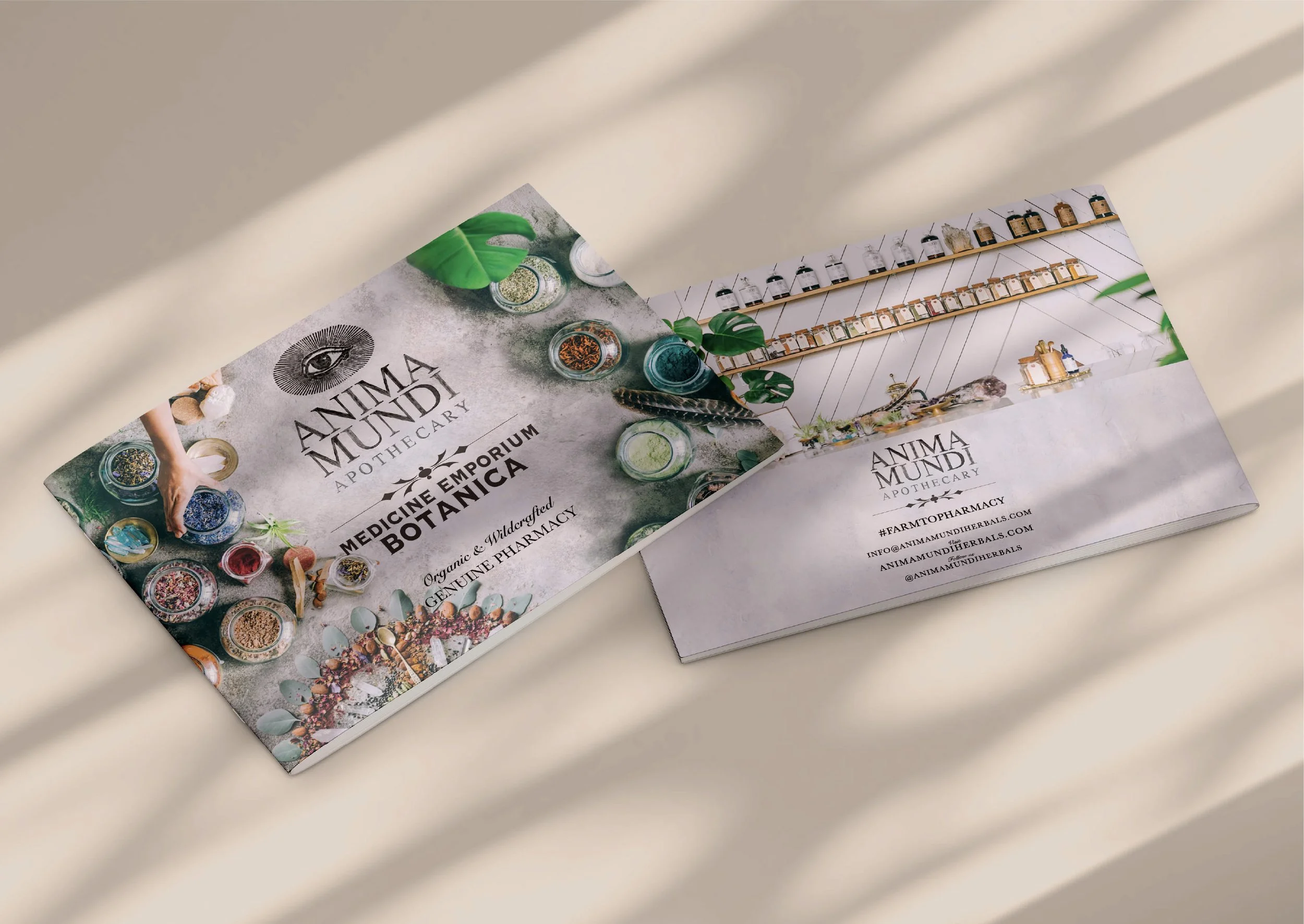 anima-mundi-herbals-catalog.jpg