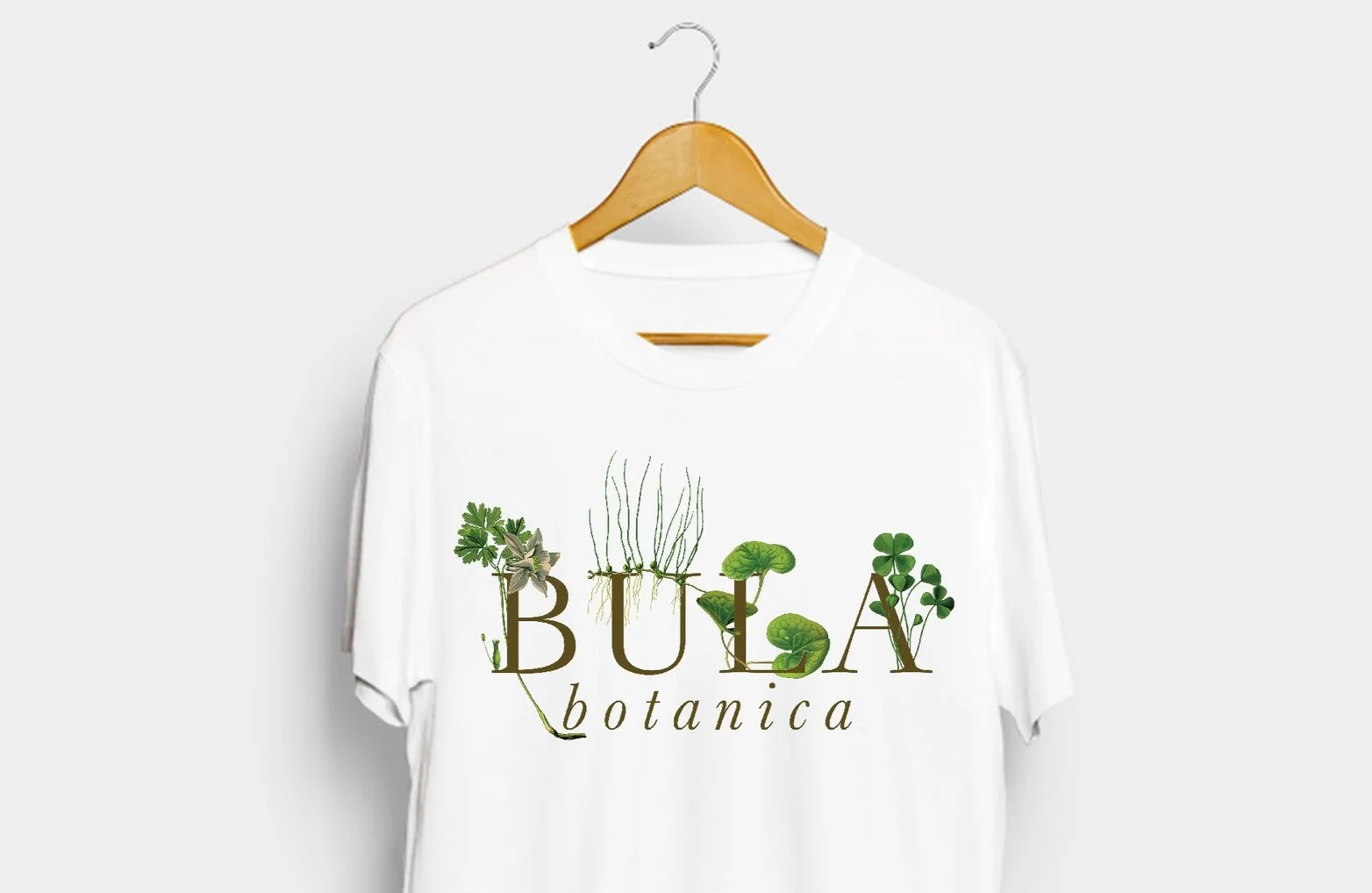 BULA6.jpg
