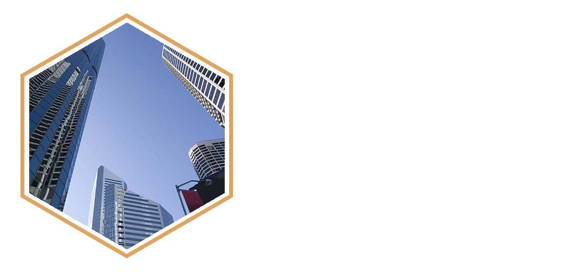 AREAS OF PRACTICE corp.png