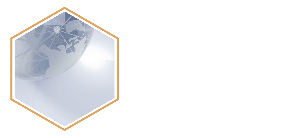 AREAS OF PRACTICE immigration 02.png