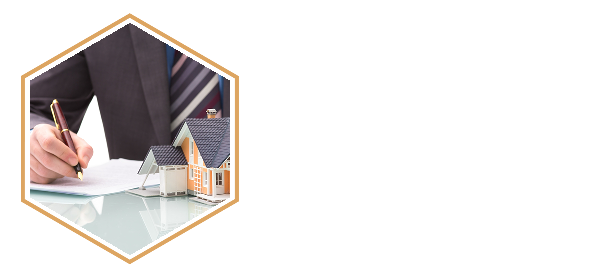 AREAS OF PRACTICE real estate.png