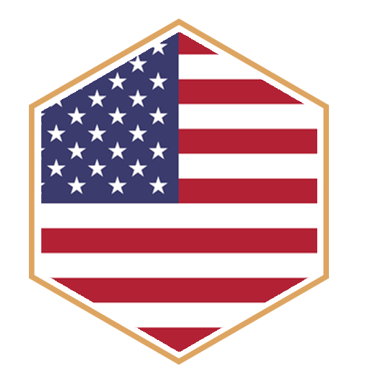 AREAS OF PRACTICE USA.png