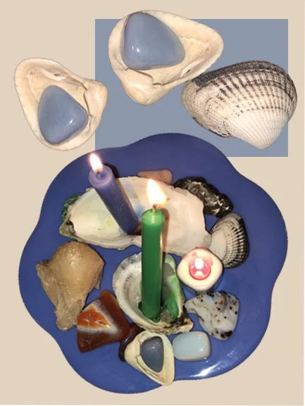 shells and plate (peach).jpg