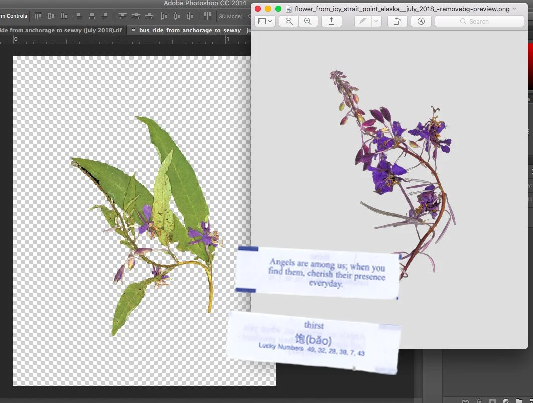 flower fortune photoshop.jpg