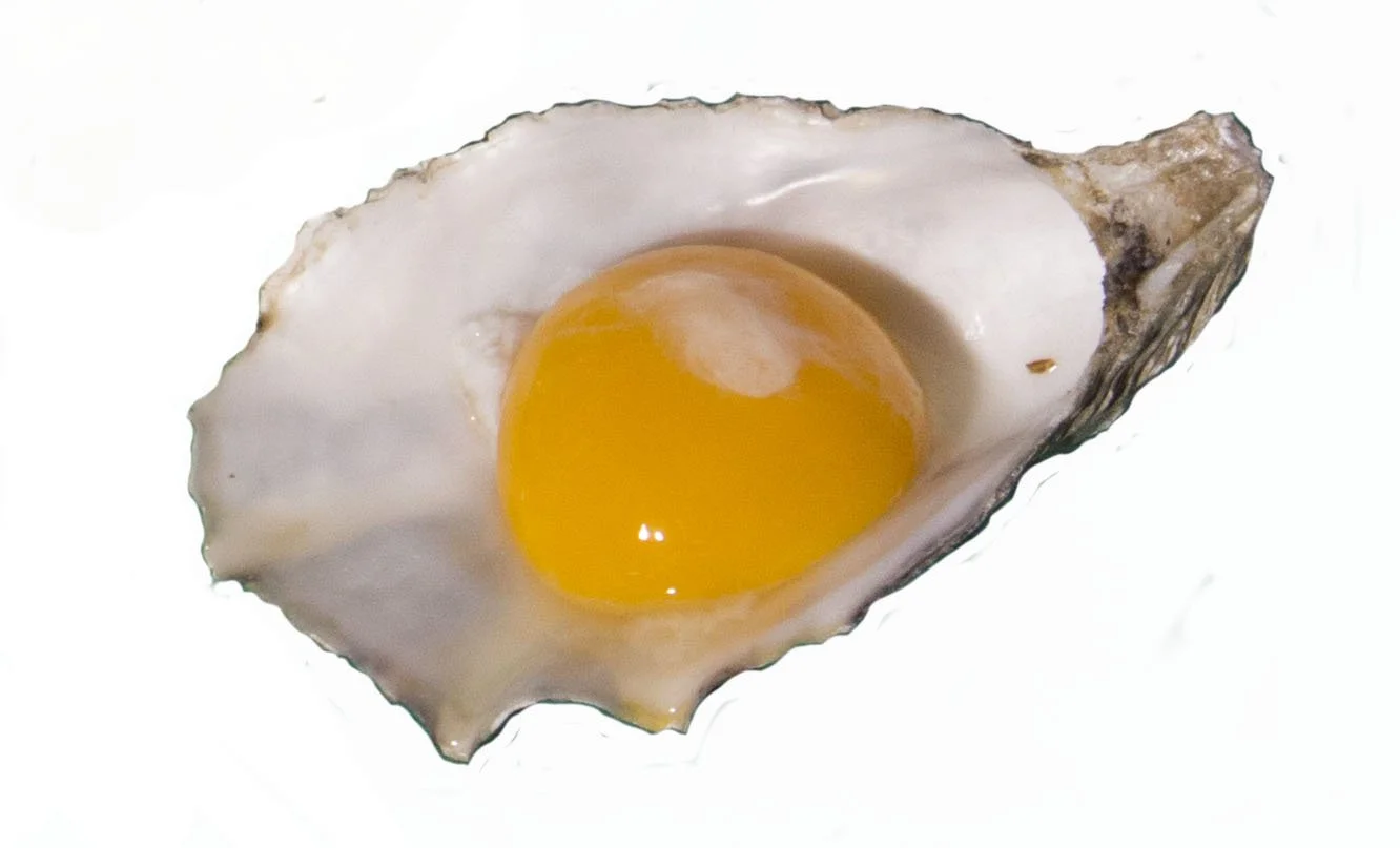 oyster egg copy.jpg