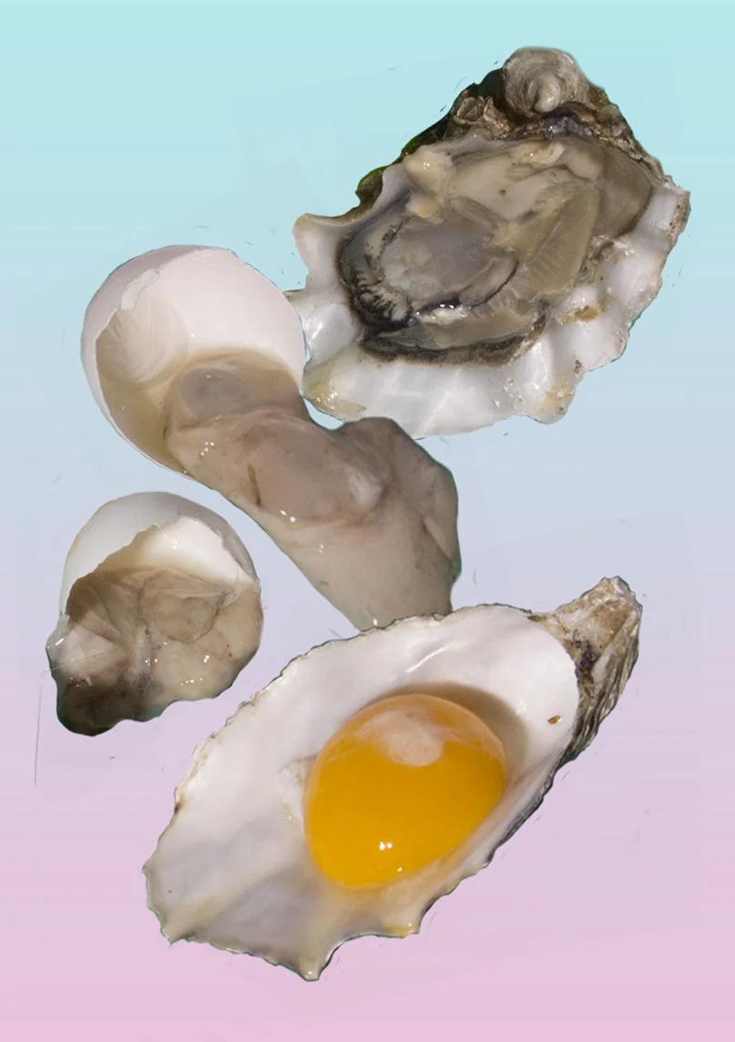 oysters eggs gradient 1.jpg