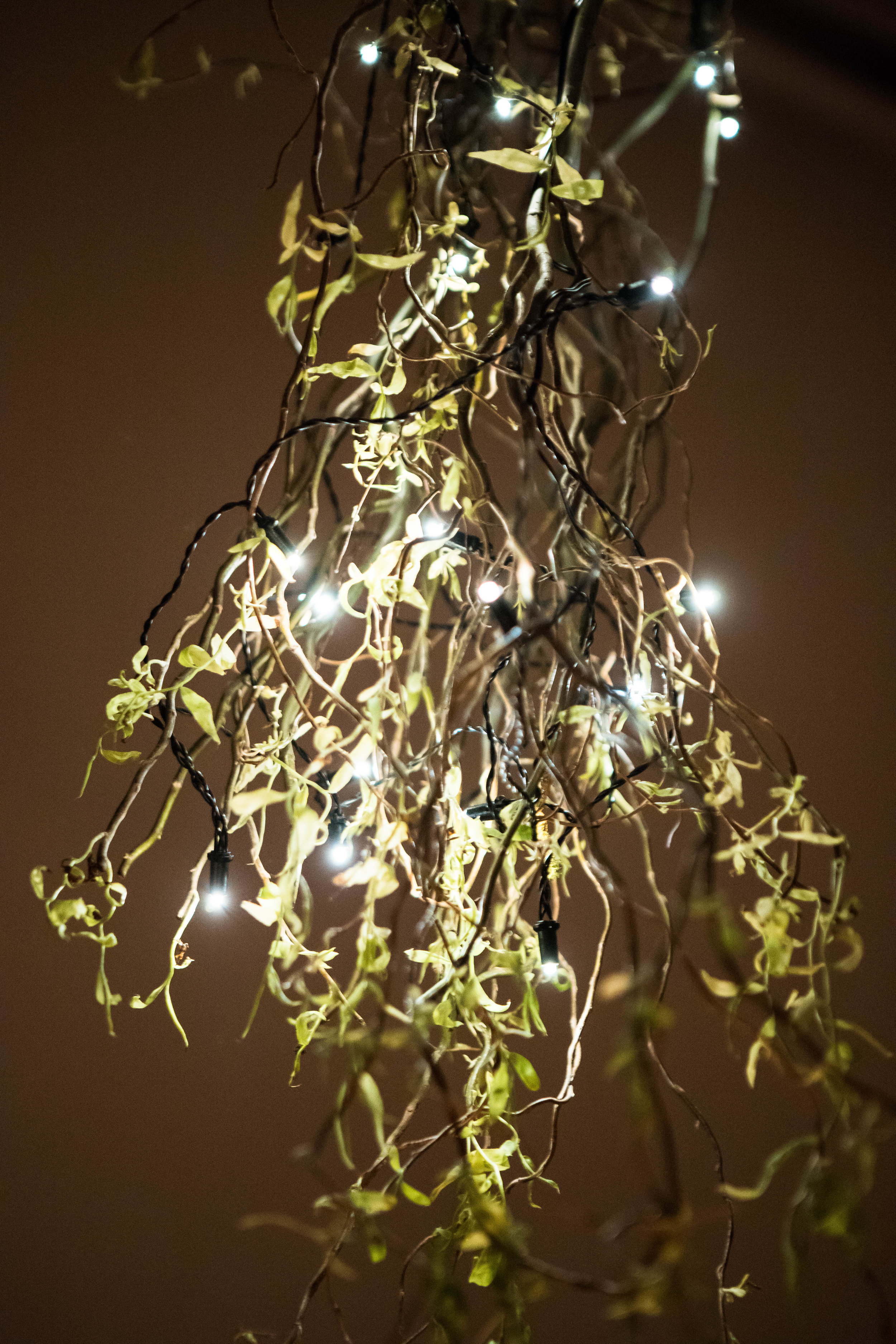 Solar Charged Fairy Lights in Re-Purposed Vines