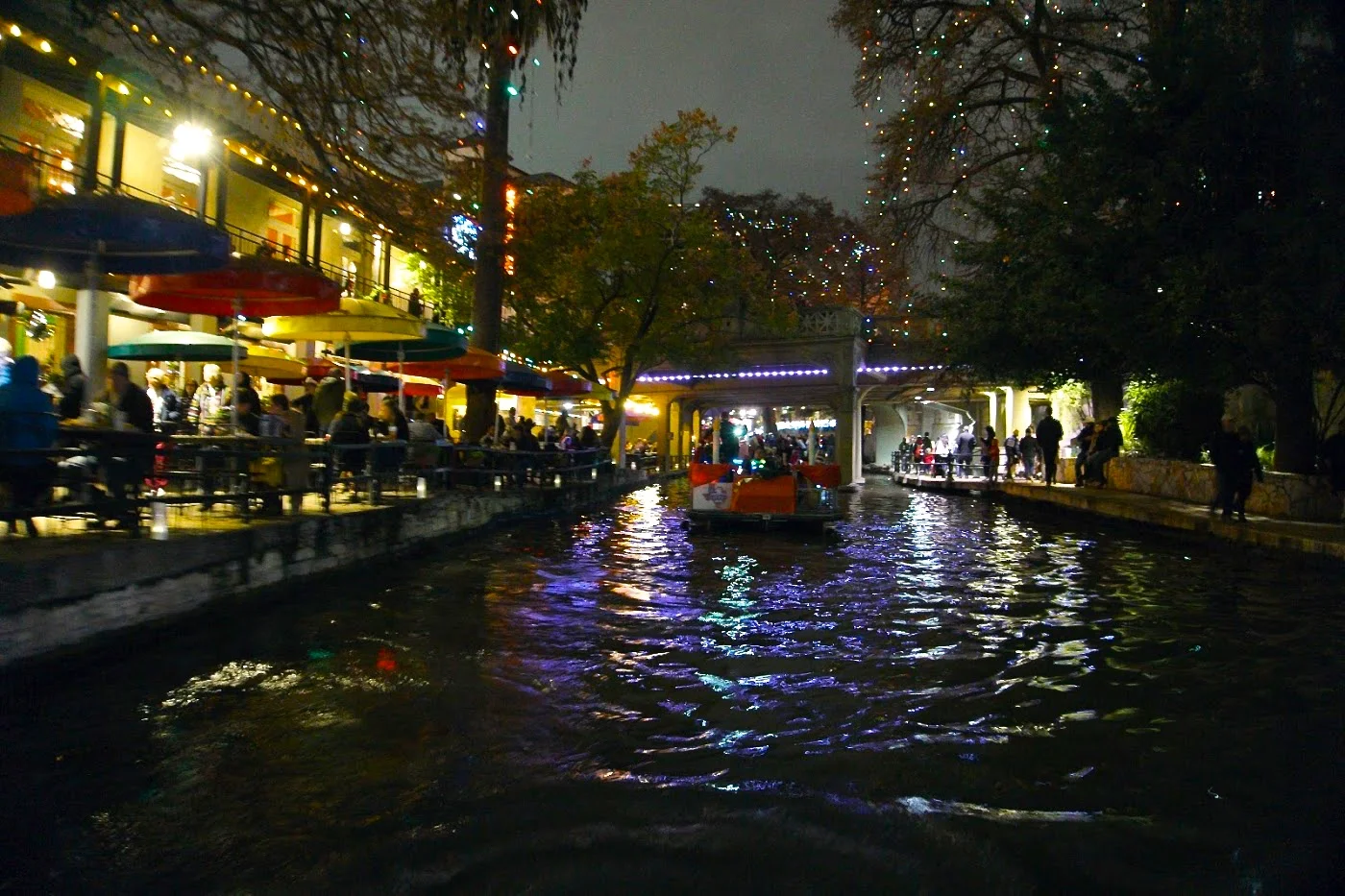 DSC08575.jpg