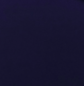 Parisian Night.png