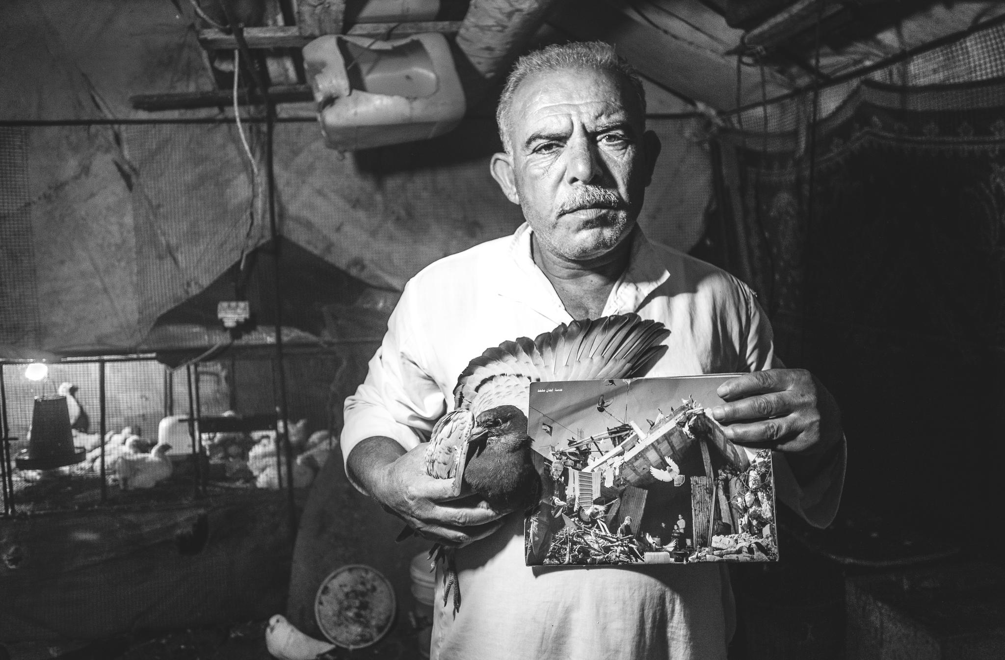 "They ripped my heart off my chest twice,when they destroyed my home and when they took away the rubble,its all I had,they deprived me the will to dream and gave me a nightmare where i can't even wake up” Mohammed Khader,43, holding a photo of his destroyed house after it was flattened to the ground during the first Israeli war on Gaza, Khader worked for two decades in Israel to build his retirement house and after the Israeli army blew up his home by dynamite,none of his families belonging were left but few of the pigeons he used to raise as pet and a Jacuzzi he got from Telaviv where he was working, Mohammed lived underneath the rubble for 11 months till he received a police request to evacuate for safety concerns.Mohammed ,his wife and seven daughters moved to a tent afterwards. © Images by Eman Mohammed | Broken Souvenirs series.