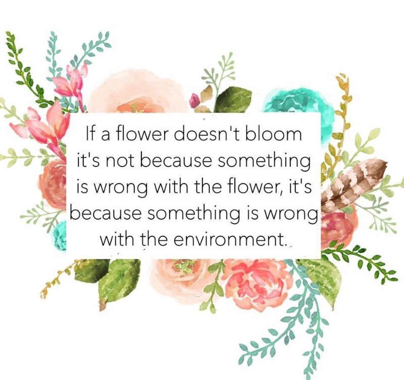 if-flower-doesnt-bloom.jpeg