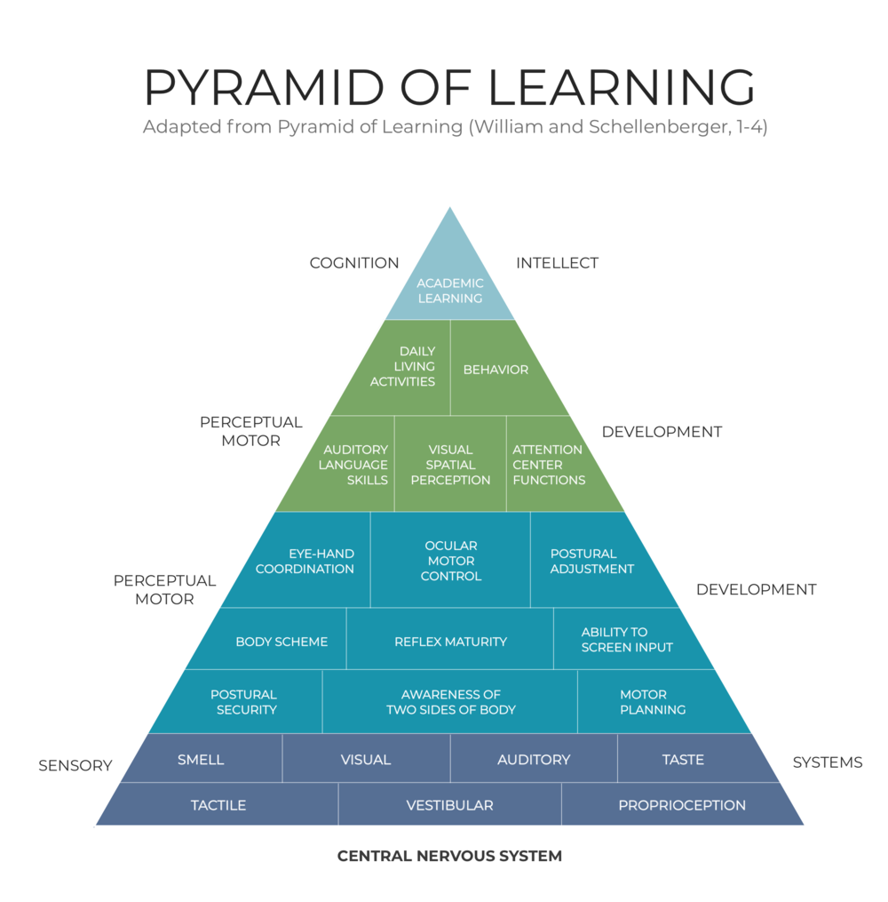 Willian and Schellenberger Pyramid of Learning