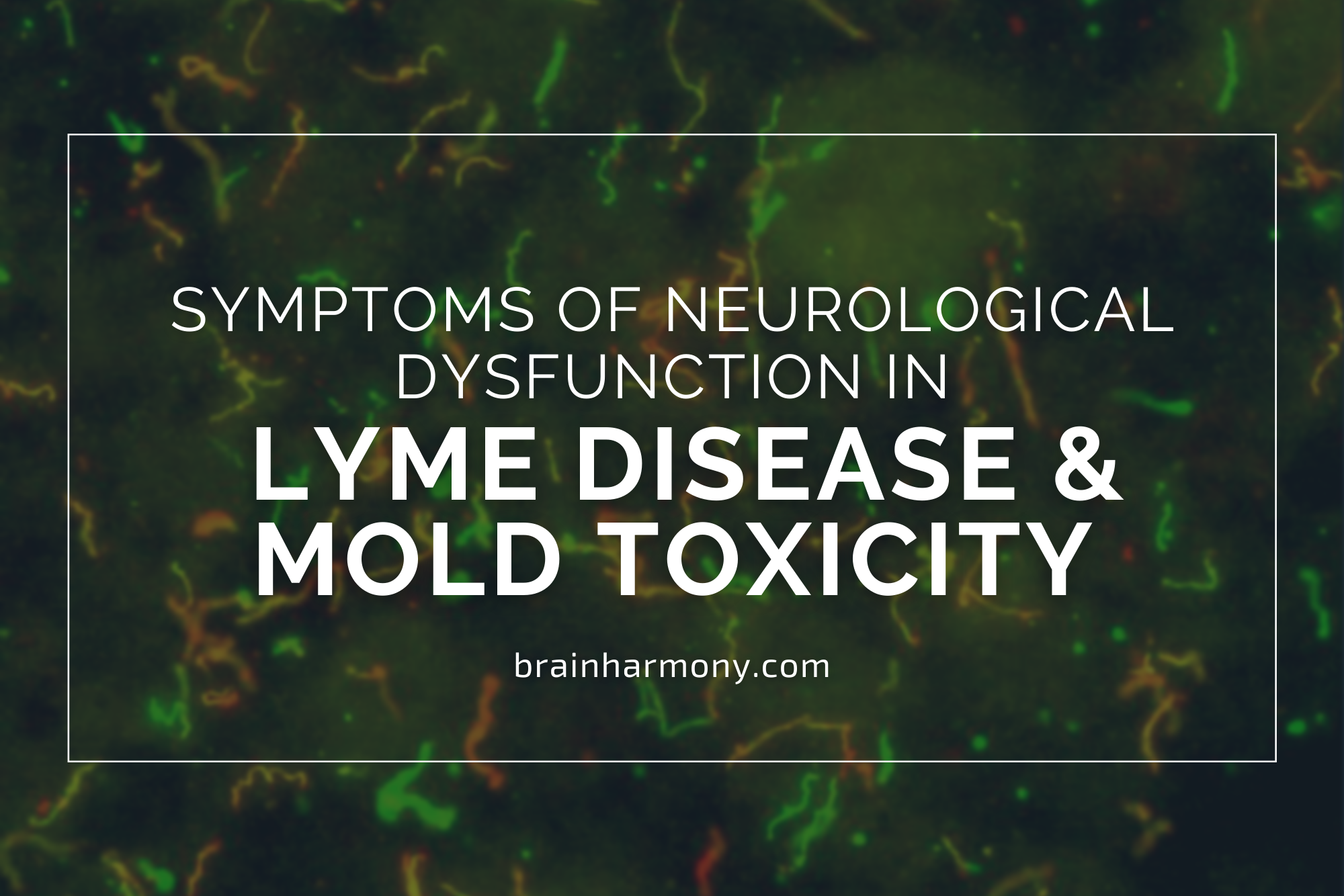 Lyme Disease And Mold Toxicity: Symptoms Of Neurological Dysfunction