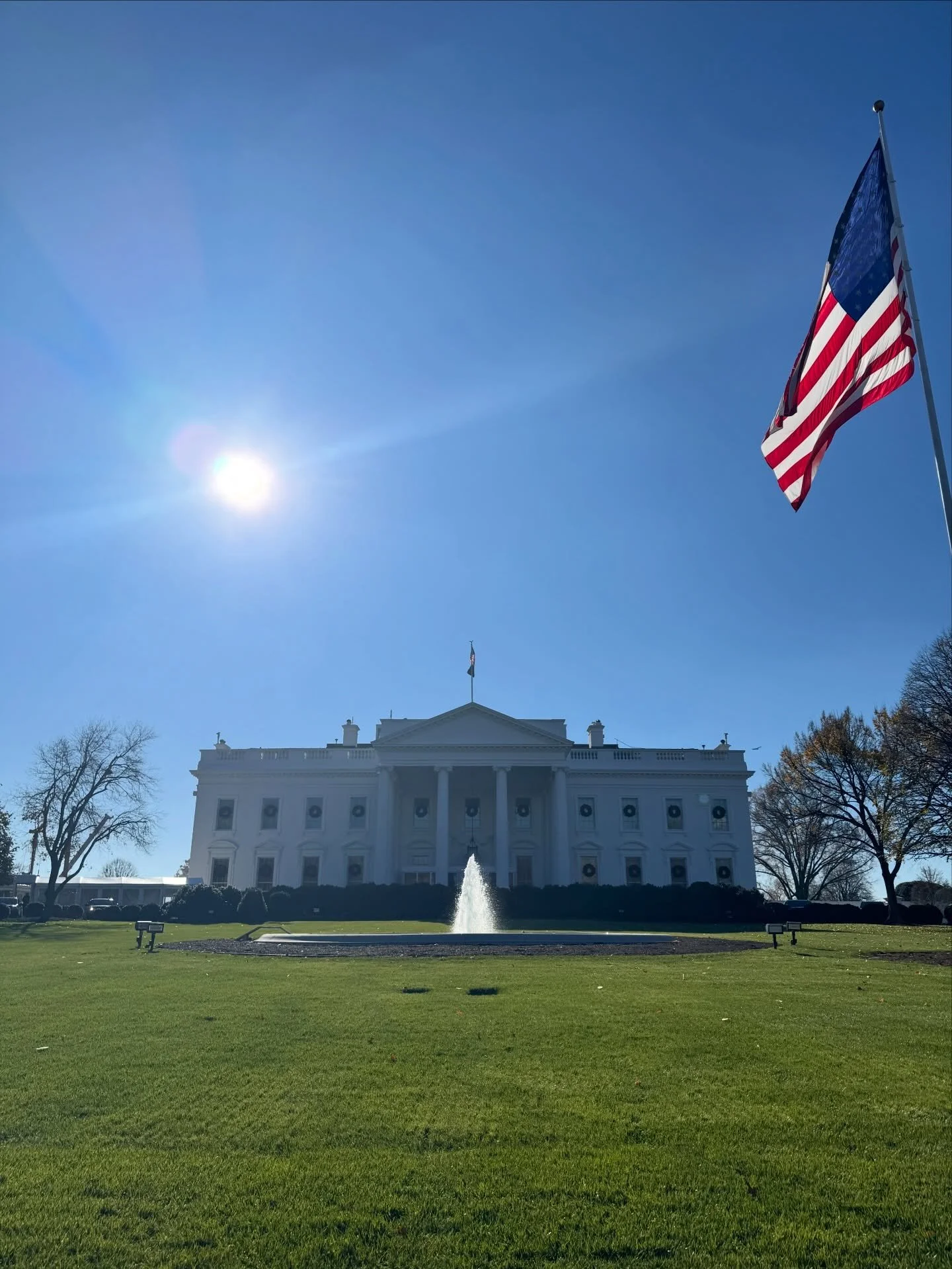 The Christmas wreaths are hung!