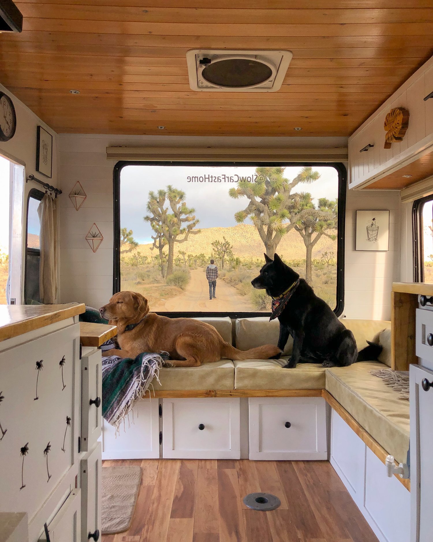 Joshua Tree National Park, California