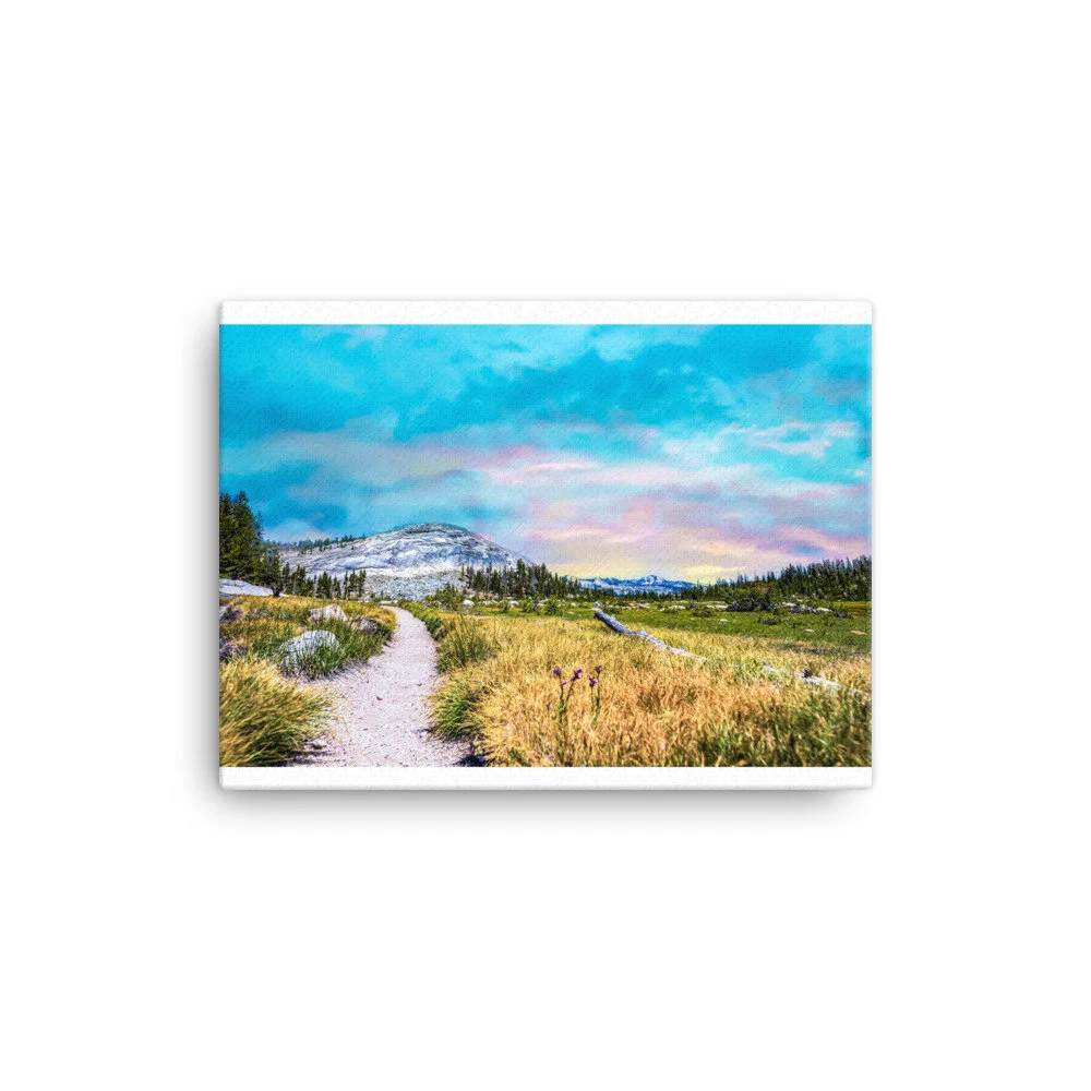 canvas-(in)-12x16-wall-602cbb6f2d398.jpg