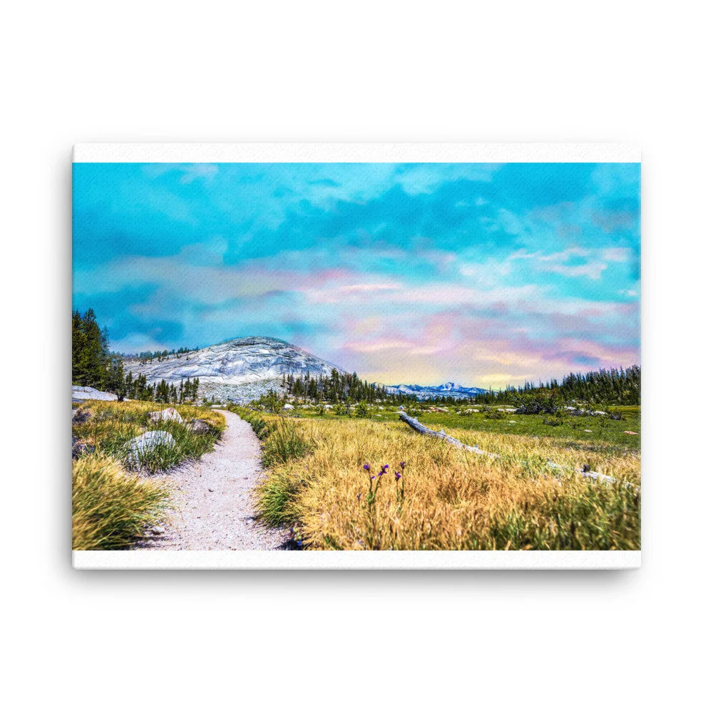 canvas-(in)-18x24-wall-602cbb6f2d515.jpg