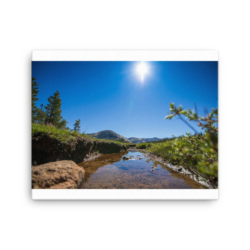 canvas-(in)-16x20-wall-602cbe919cd77.jpg