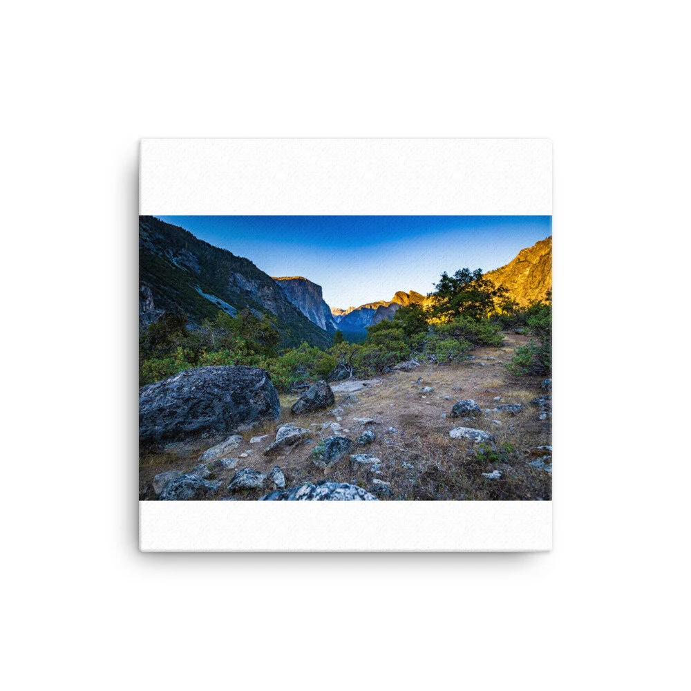 canvas-(in)-16x16-wall-602cc71d2e96c.jpg