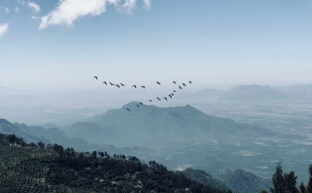 What Does Meditation Feel Like?
