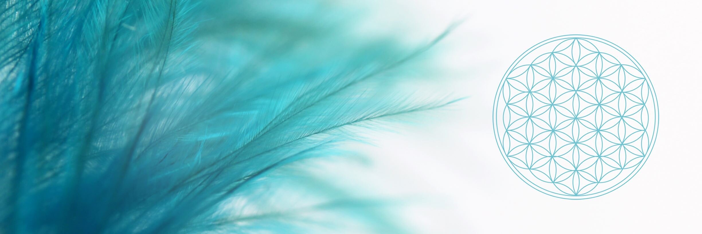 meditation essays.jpeg