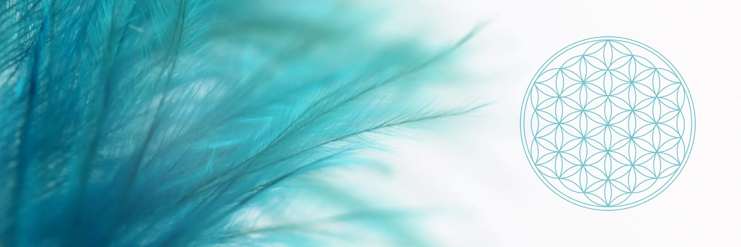 You Ego Is Not The Problem - Video