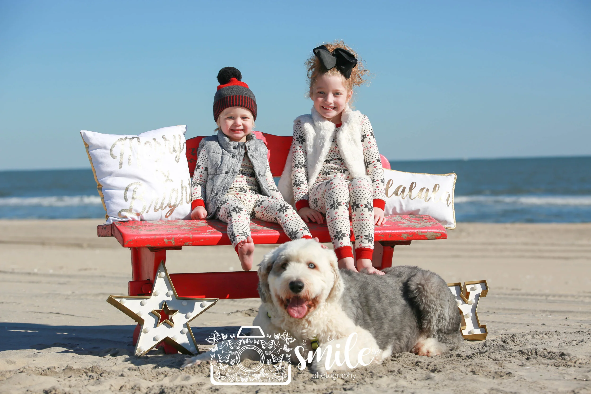 LBI Christmas Minis